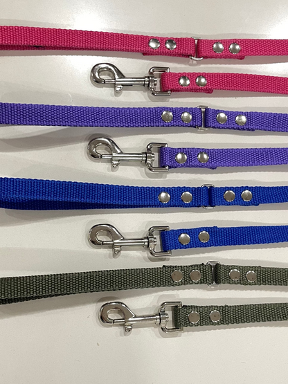 Enzote - Correa Standard